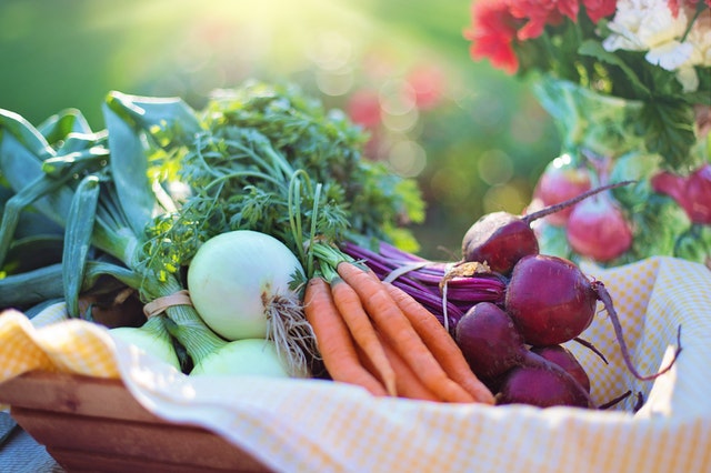 Tipy na zeleninové pokrmy, ktoré si môžete dopriať aj počas bielkovinovej diéty